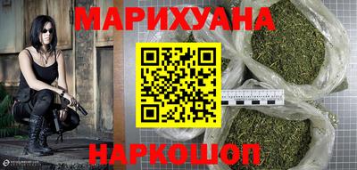 сатива Можга