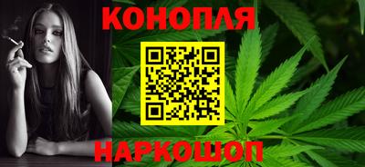 сатива Можга